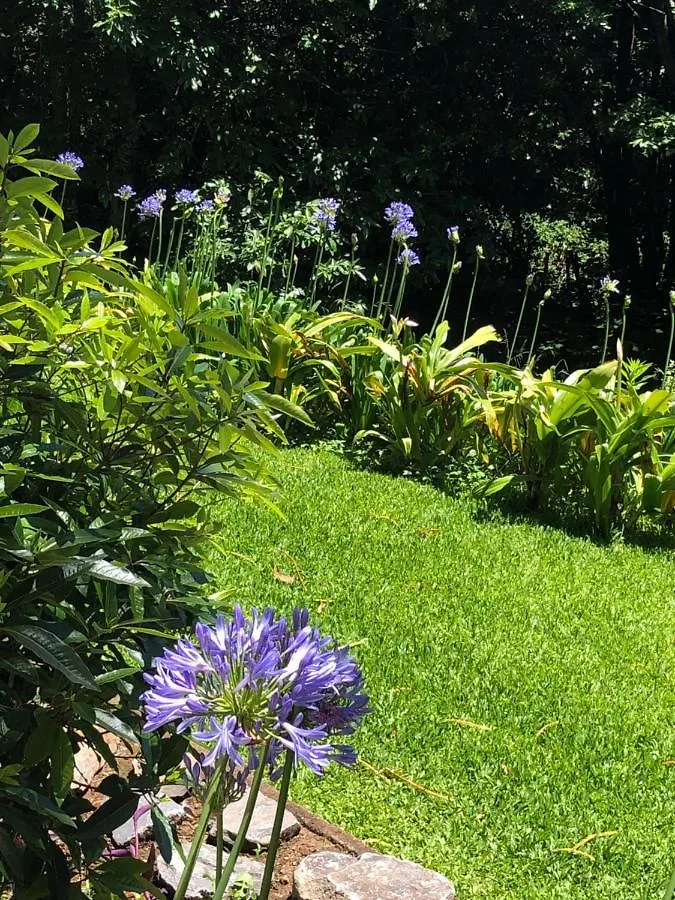 Quintinha De Palmyra Villa Camacha  Camacha (Madeira)