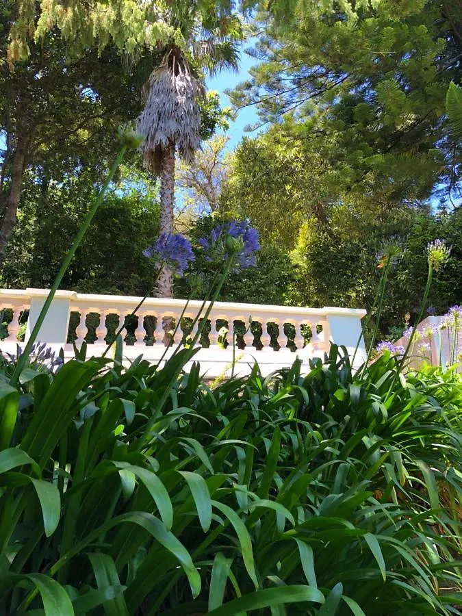 Quintinha De Palmyra Villa Camacha