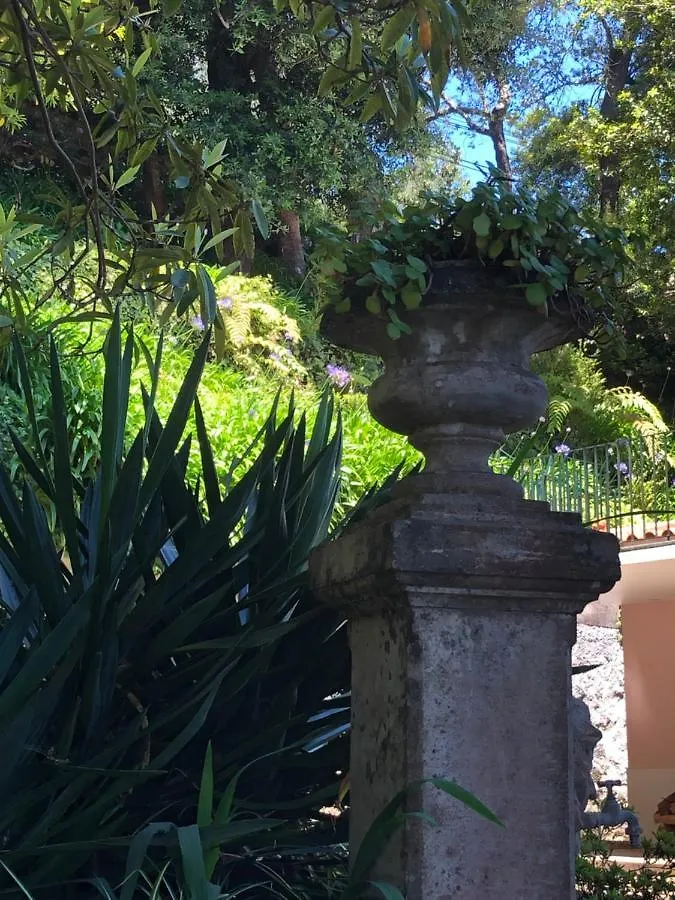 Quintinha De Palmyra Villa Camacha  Camacha (Madeira)
