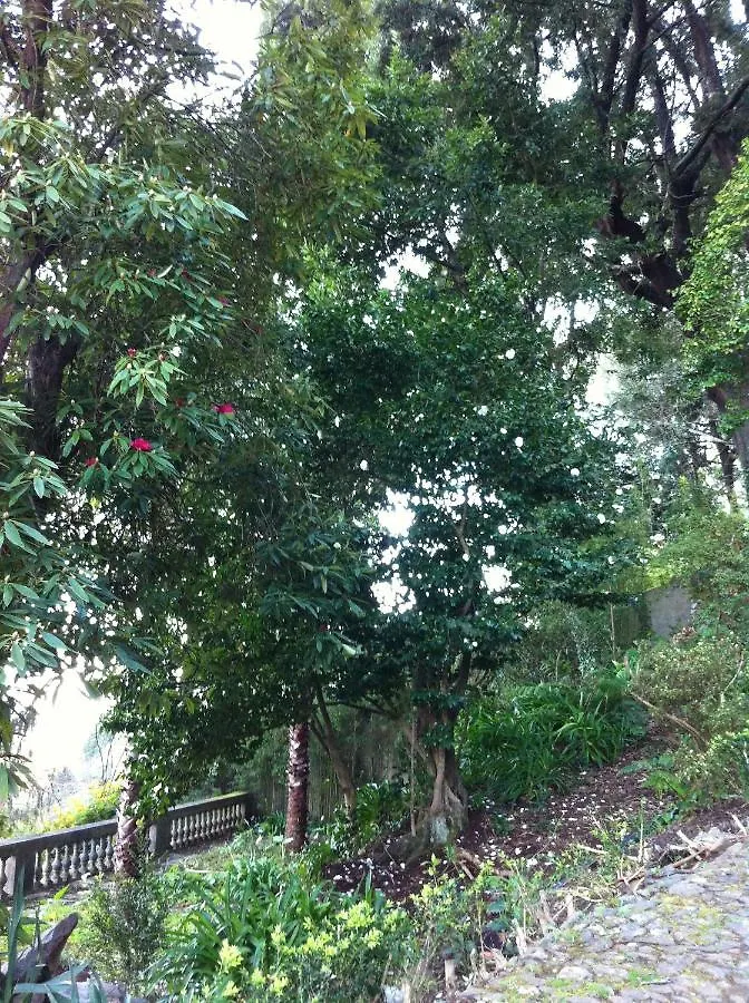 Villa Quintinha De Palmyra Camacha  Camacha (Madeira)